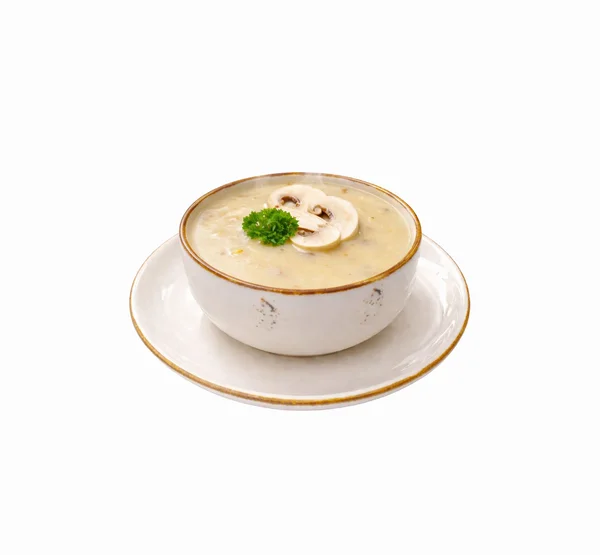 CREAM OF MUSHROOM SOUP